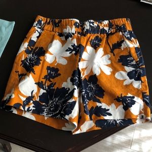 J crew shorts